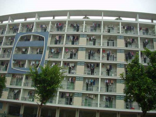 成都市2022年计算机学校里边都有哪些专业
