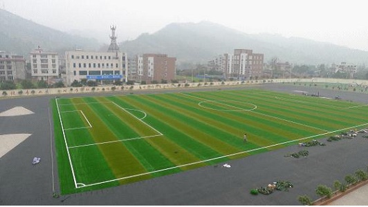 成都金沙职业学校如何、怎么样