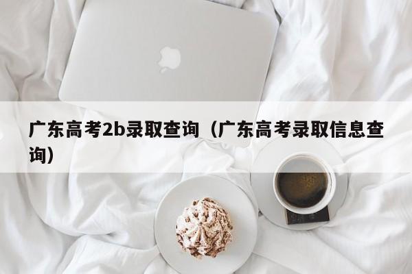 广东高考2b录取查询（广东高考录取信息查询）