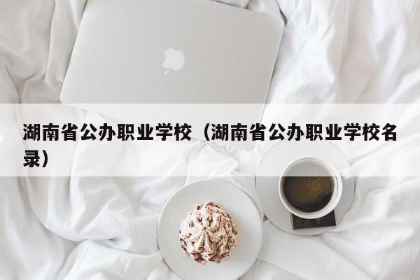 湖南省公办职业学校（湖南省公办职业学校名录）