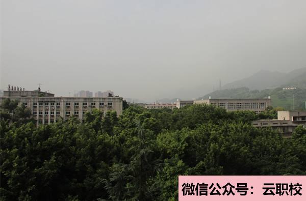 渭南蓝光高中学校住宿条件、食堂情况(四川省新津中学2021年宿舍条件)
