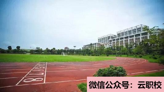 学什么专业好?针灸推拿专业培养目标(六安2021年卫校学什么专业好)