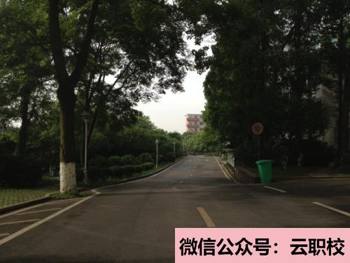 邢台卫校开设的专业有哪些?(邢台2021年卫校是学什么的)图1