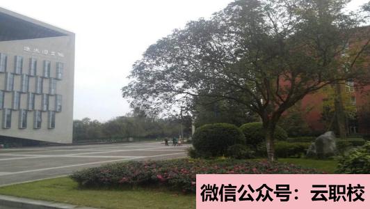 云南经贸外事职业学院参考排名全国民办高职50强