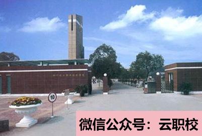 重庆市南丁卫生学校招生对象(重庆沙坪坝区2021年卫校招生有哪些要求)图2