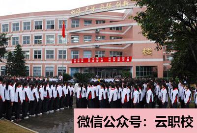 重庆普高学校分数线 地区 最低分(重庆沙坪坝区2021年卫校招生要求多少分)