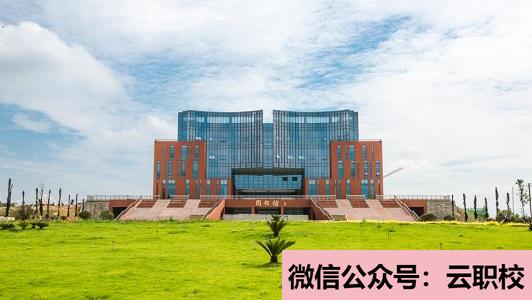 2021年正德职业技术学院单招的招生计划图2