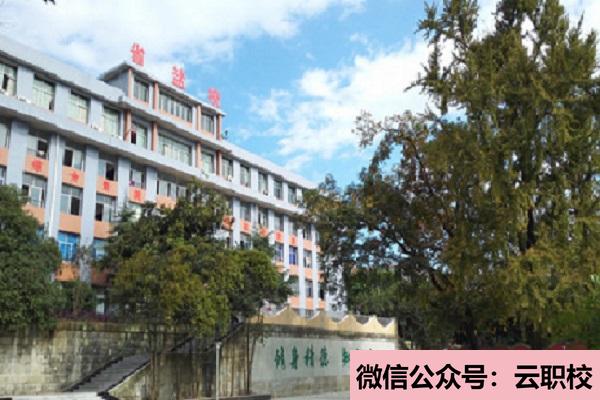 甘肃2021年护理学校开设有哪些课程?