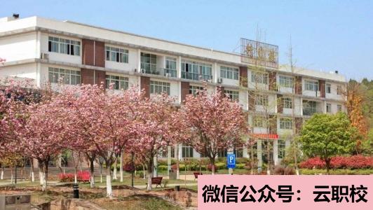 重庆沙坪坝知行卫生学校报名条件和对象(重庆沙坪坝区2021年初中生可以去的卫校)图3