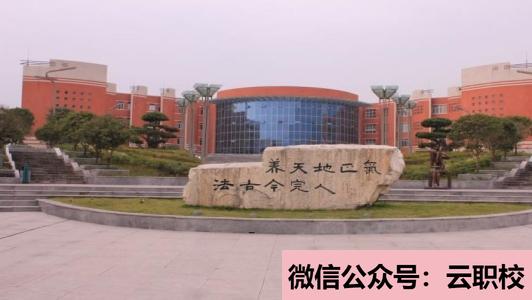 温州护士学校招生要求报考条件(温州2021年初中生读什么卫校)图3