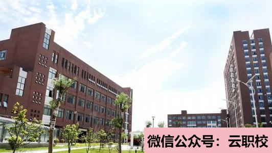 在卫校里面学习什么专业好(重庆沙坪坝区2021年男生上卫校学什么好)