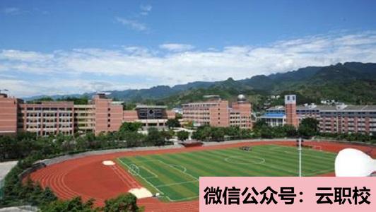 2021年2019年物理化学课程(药学)