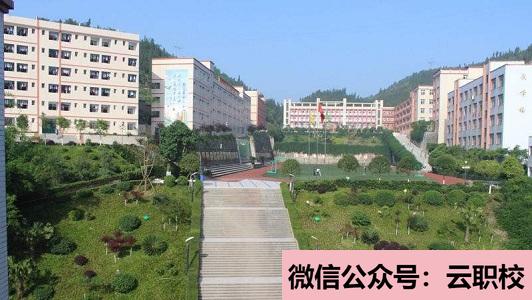 重庆市南丁卫生学校招生对象(重庆沙坪坝区2021年读卫校有什么要求)图1