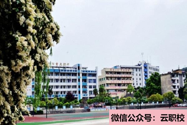 重庆南丁卫生职业学校护理专业培养要求(重庆沙坪坝区2021年卫校有什么专业适合男生)