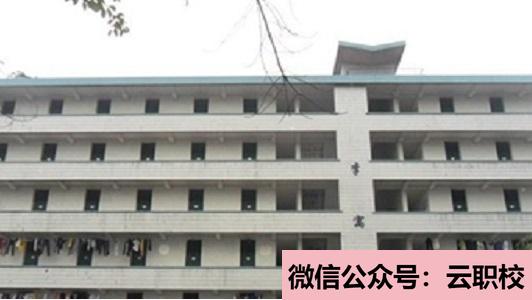 女生在卫校学什么好?助产专业就业前景良好(重庆沙坪坝区2021年女生在卫校学什么好)图3