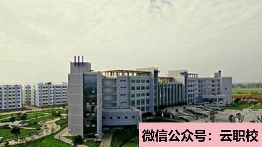 重庆市南丁卫生学校报名条件(重庆沙坪坝区2021年中专卫校招生)图3