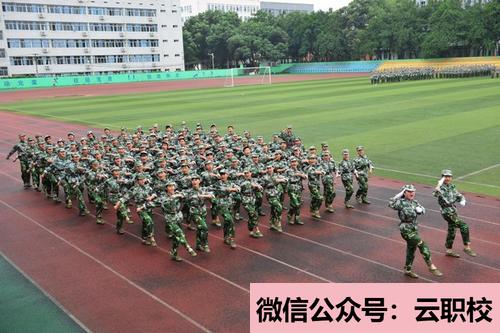 重庆沙坪坝区学校报名条件(重庆沙坪坝区2021年200分能上卫校吗)图1