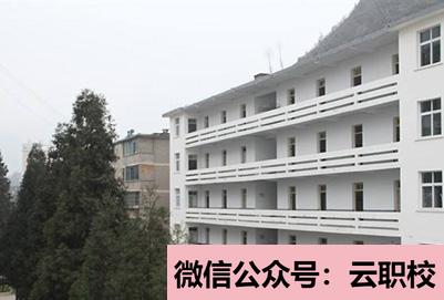 2021年女生上卫校学什么专业好图3