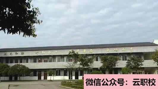 重庆沙坪坝区学校报名条件(重庆沙坪坝区2021年200分能上卫校吗)图2