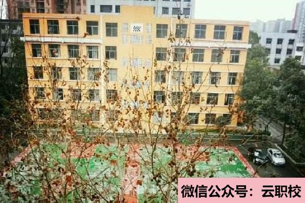 德阳卫校中有大专学校吗?(德阳2021年大专学校有卫校)