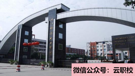 重庆市南丁卫生学校招生对象(重庆沙坪坝区2021年读卫校有什么要求)图3