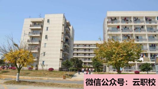 2021年泸县四中宿舍条件 学校没理模式