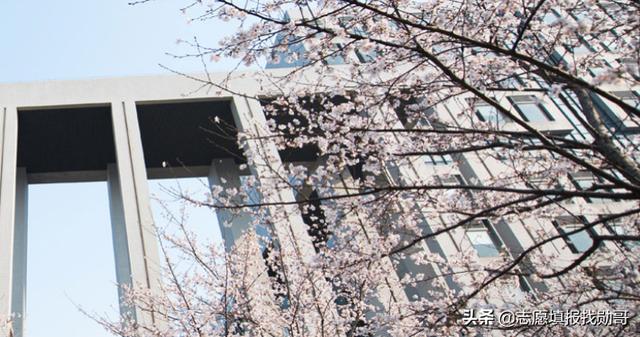 关于学计算机在哪学校上好的信息