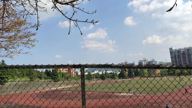 包含成都关于学医的学校有哪些的词条