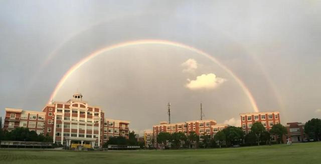 关于上海国际学校的信息