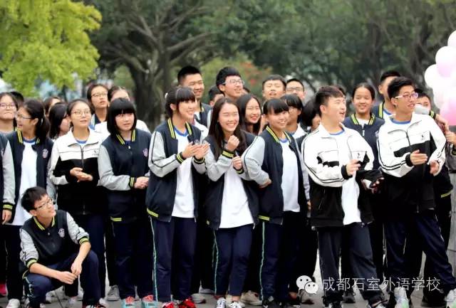 成都有哪些艺术学校(南京艺术学院)