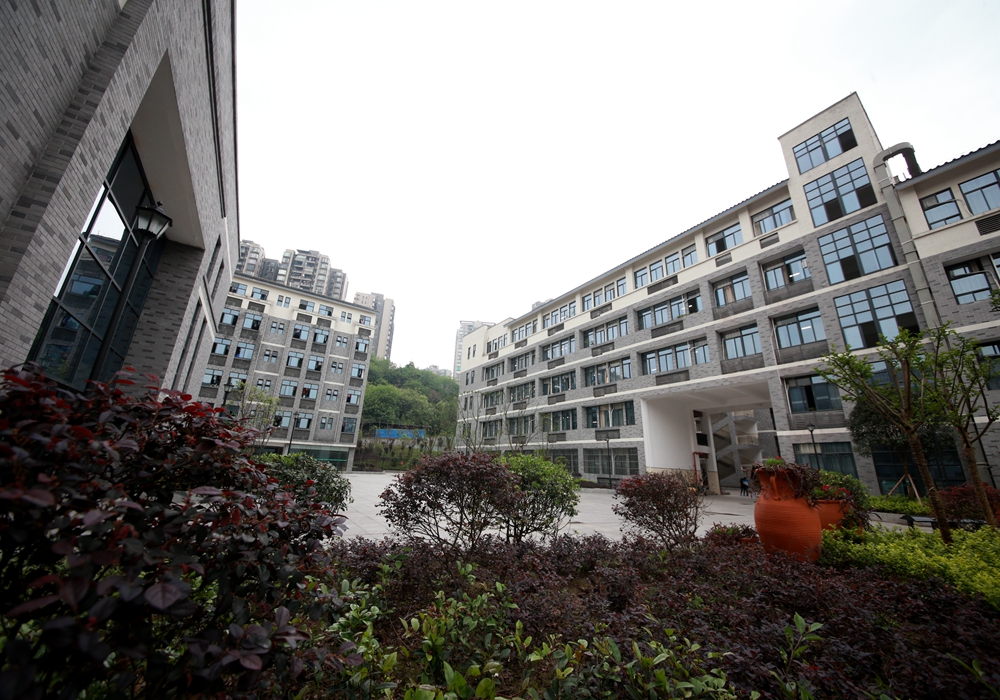 重庆有哪些艺术学校(重庆大学艺术生分数线)