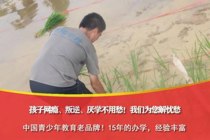 关于叛逆期孩子学校哪里好的信息图2