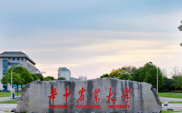 包含成人职业技术学校的词条图2