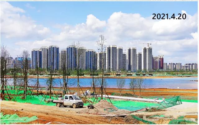 关于成都威斯敏斯特国际学校学费的信息