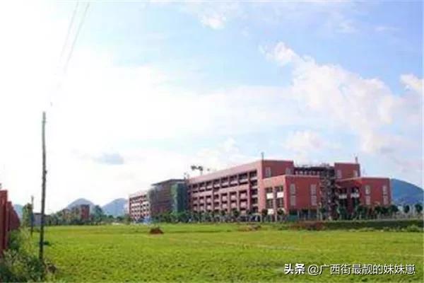包含广西幼师学校哪所最好大专的词条图1