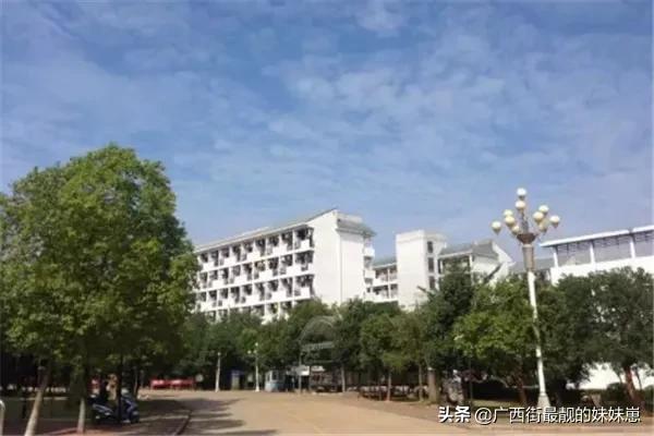 包含广西幼师学校哪所最好大专的词条