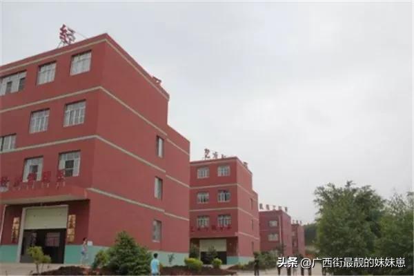 包含广西幼师学校哪所最好大专的词条