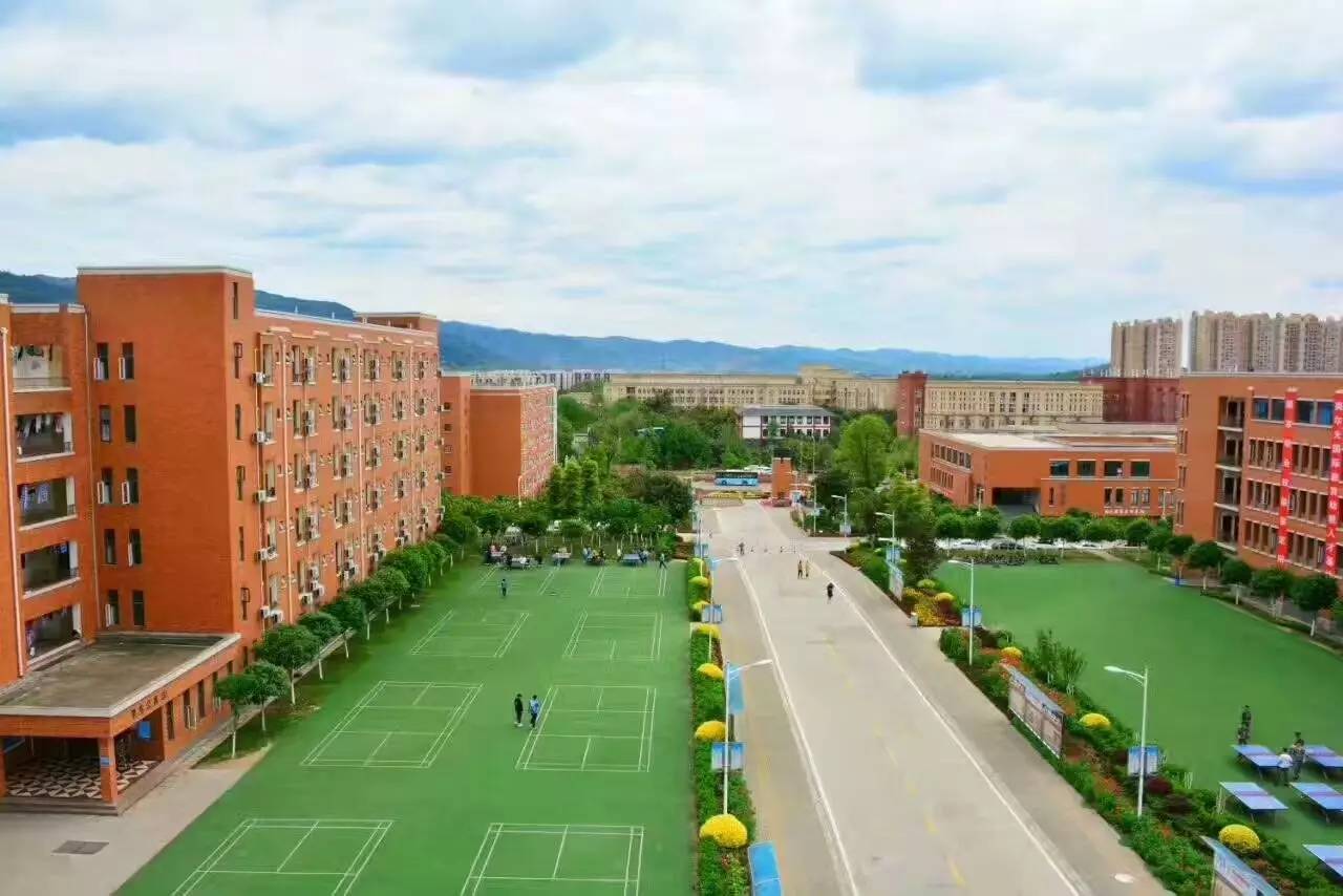 成都学前教育学校的简单介绍