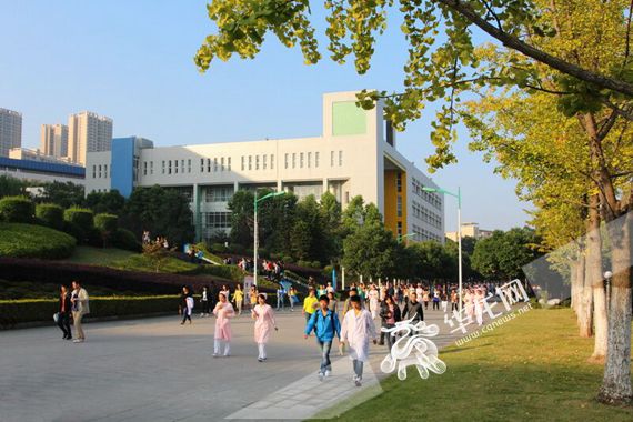 重庆专科学校有哪些学校(重庆好点的专科大学)