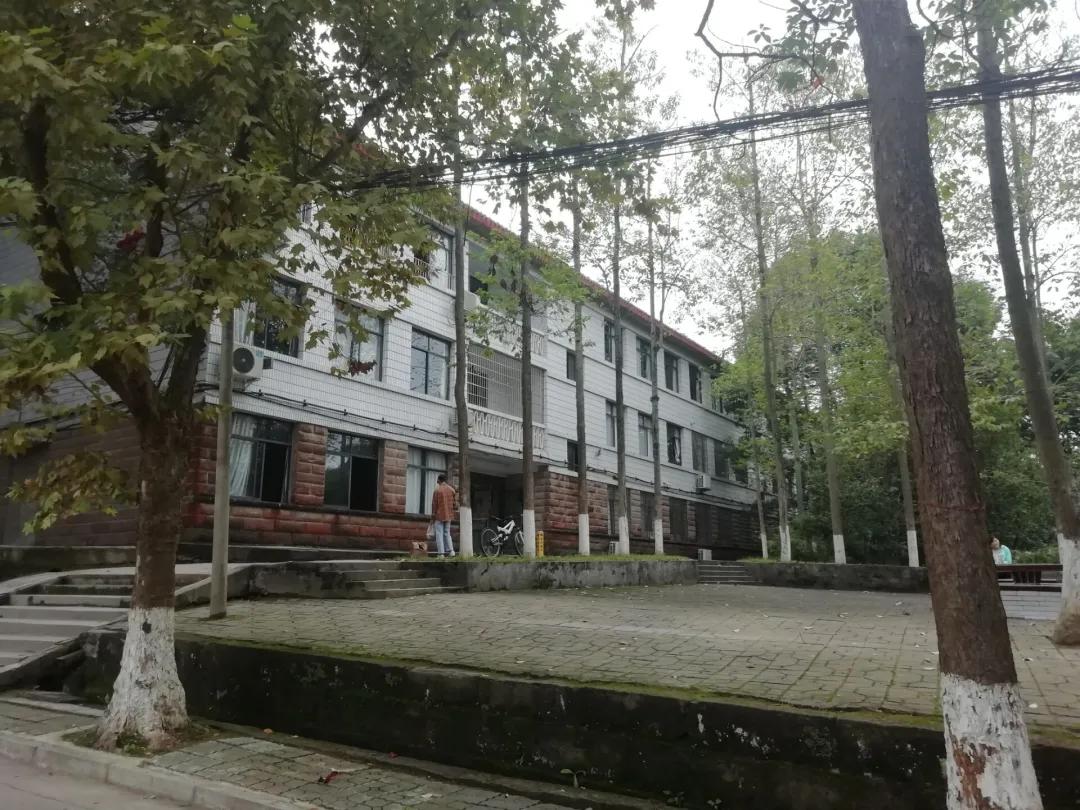 包含南充公办职高学校排名的词条