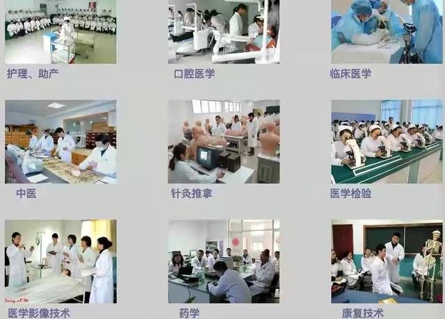 包含初中生学医生上什么学校的词条图2