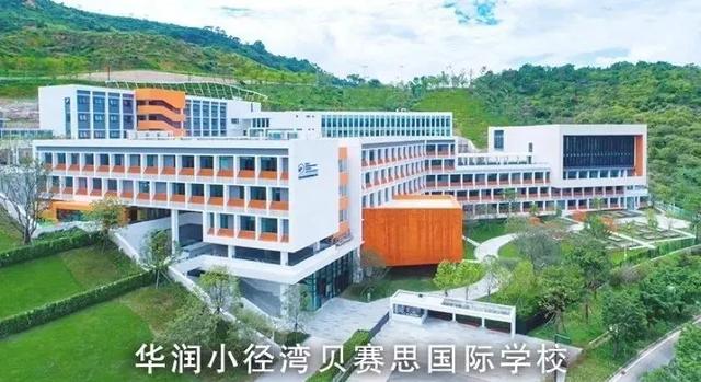 广州贝赛思国际学校的简单介绍图3