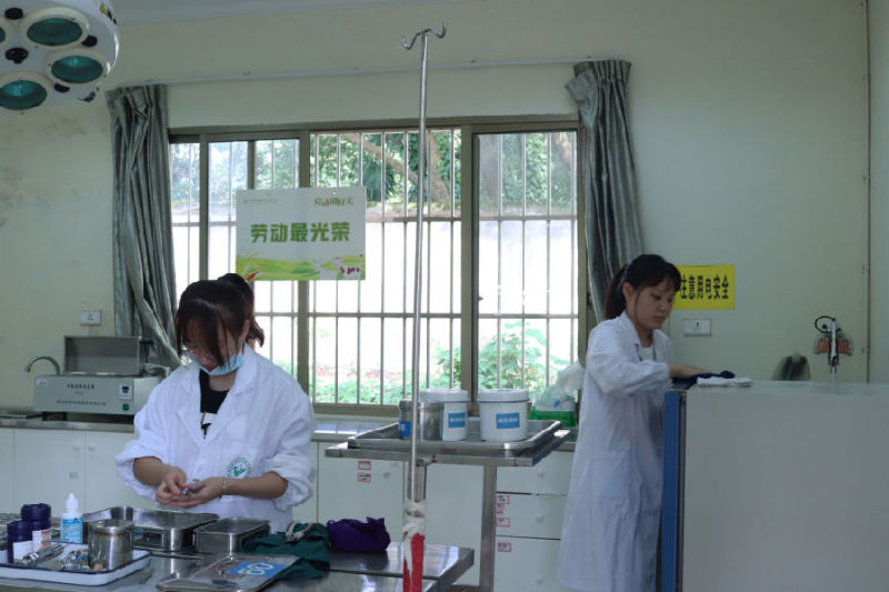 学兽医去哪个学校(兽医资格证)