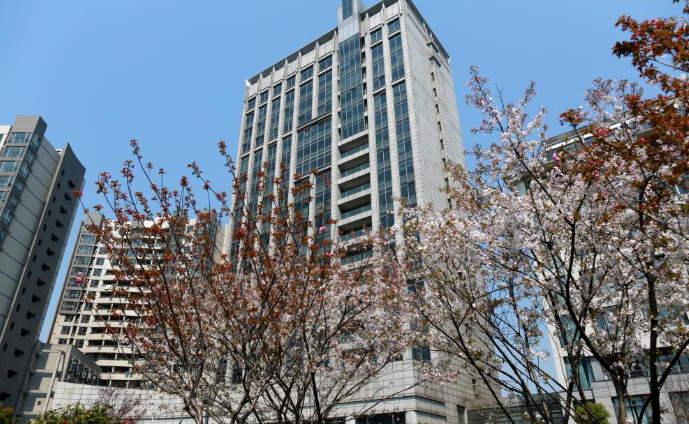 上海幼师学校有哪些(上海幼师学校录取分)