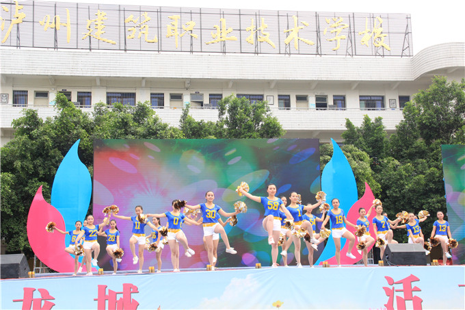 泸县职业学校有哪些(泸县建筑职业学校官网)