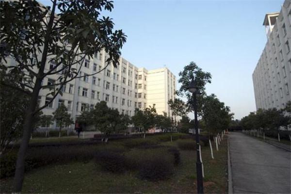包含武汉职高学校排名的词条