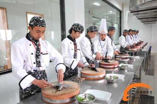 新东方烹饪学校学费(新东方烹饪学校学费一年多少钱)