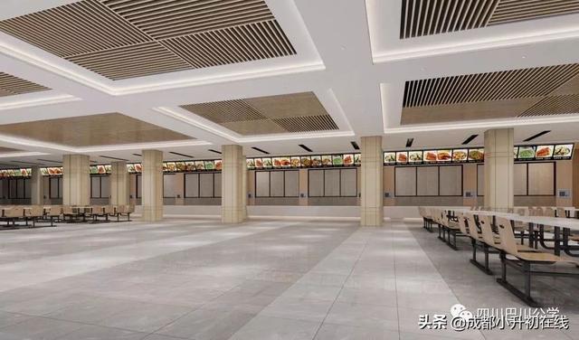 成都天立学校(成都天立学校西区地址)