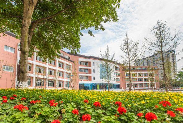 成都小升初学校(重庆小升初机构)