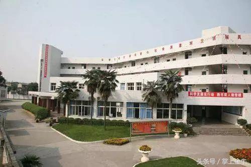 成都市金牛实验中学校(成都市金牛实验中学校爱莲池)图1
